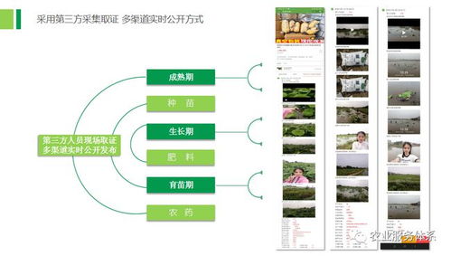 三安数据证据链管理系统 助力河北文安农产品质量